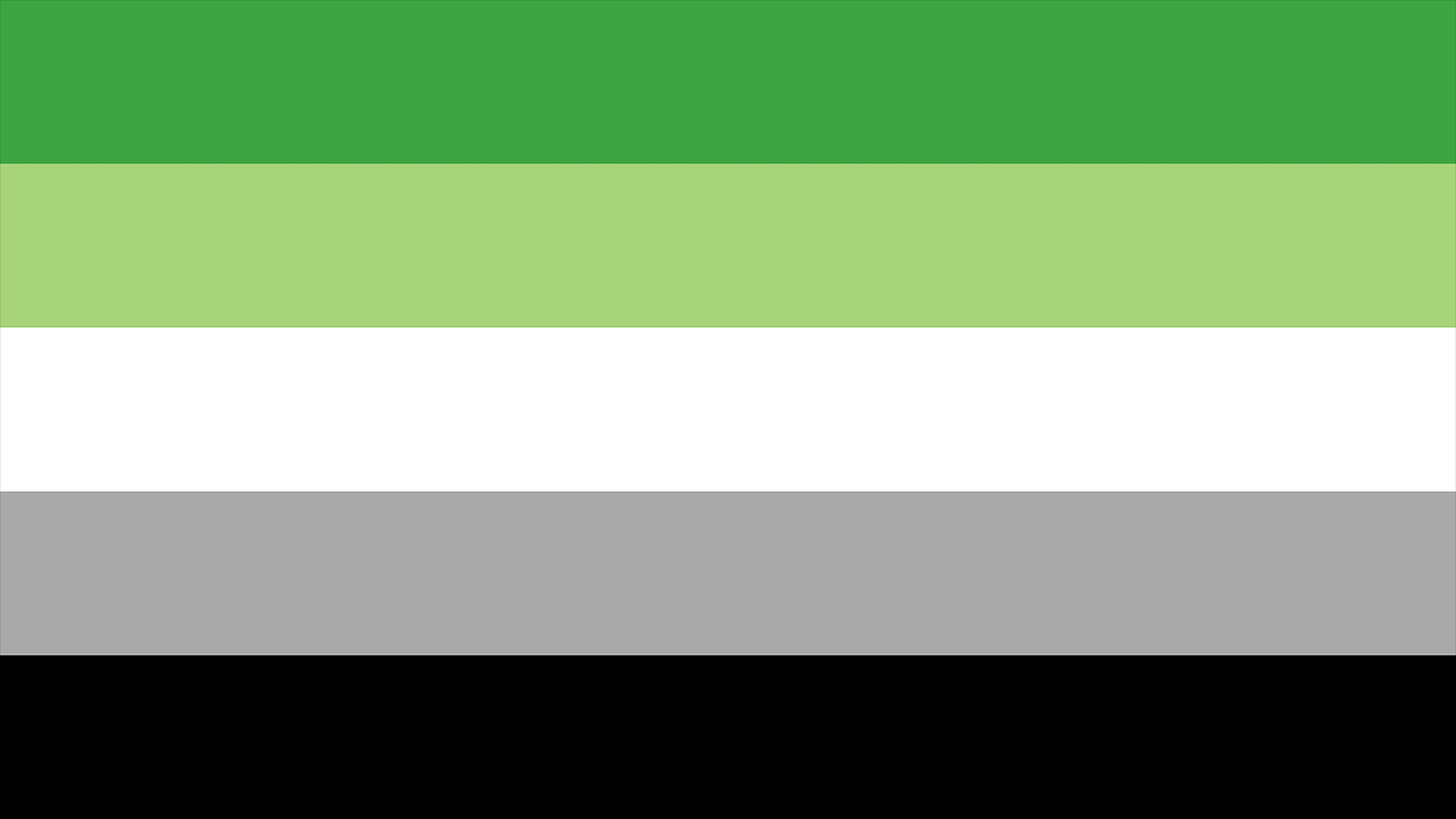 Aromantic Pride Flag Playmat 14” x 24”