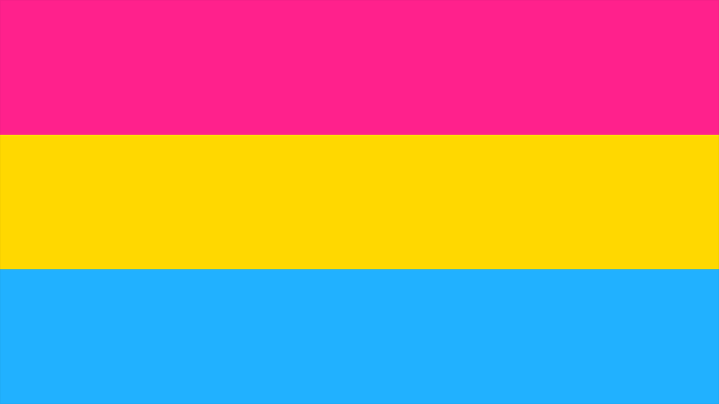 Pansexual Pride Flag Playmat 14” x 24”