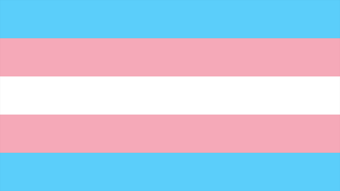 Trans Pride Flag Playmat 14” x 24”
