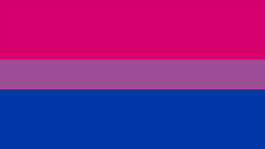 Bisexual Pride Flag Playmat 14” x 24”