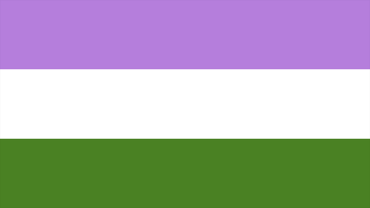 Gender Queer Pride Flag Playmat 14” x 24”