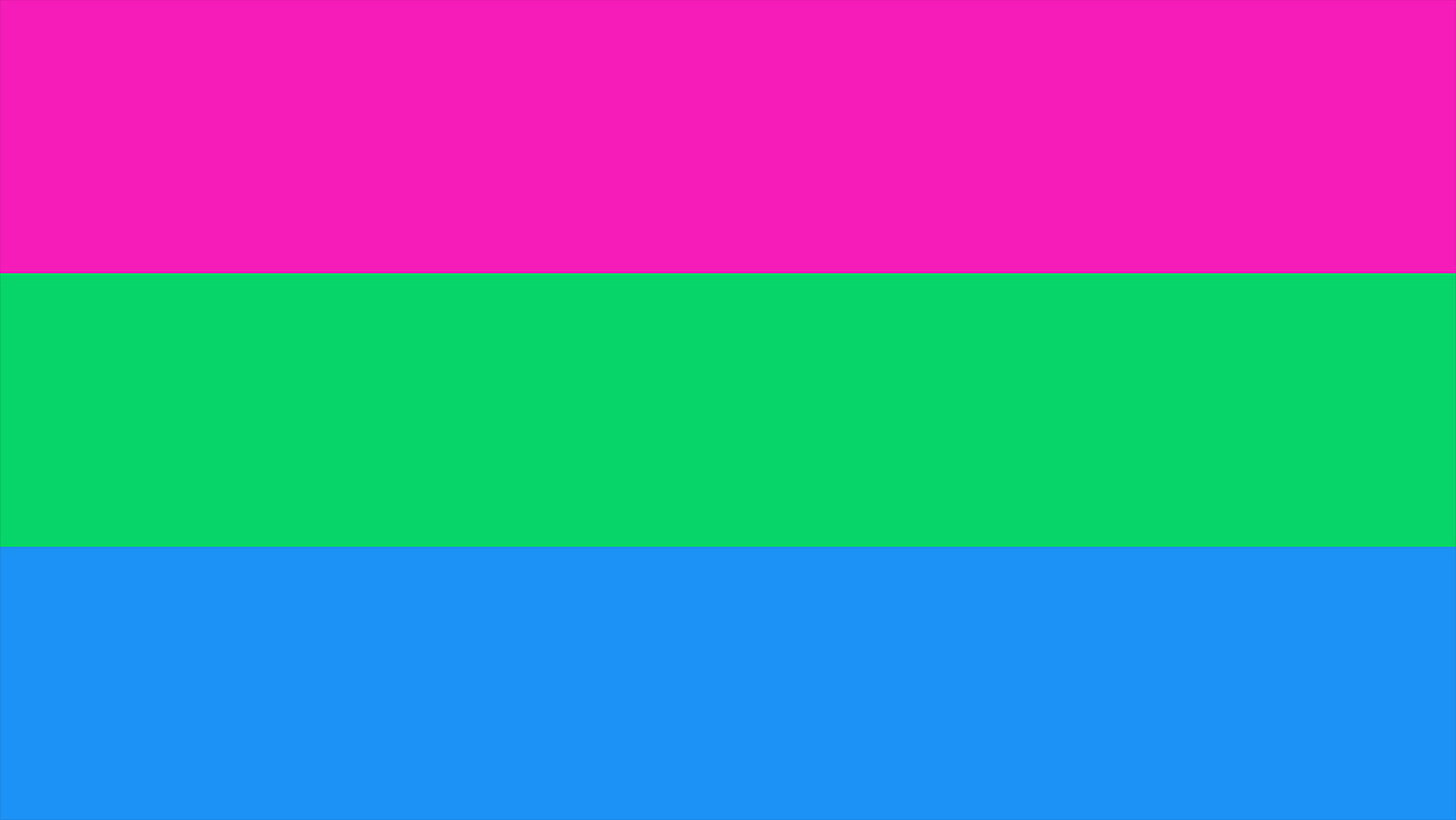 Polysexual Pride Flag Playmat 14” x 24”